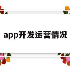 app开发运营情况(app运营现状包括什么)