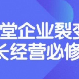 张琦《盈利增长17堂必修课》企业裂变增长的经营智慧，带你了解增长的本质