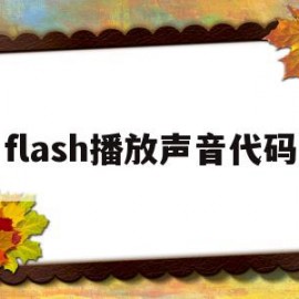 flash播放声音代码(flash软件自带的声音在哪里设置)