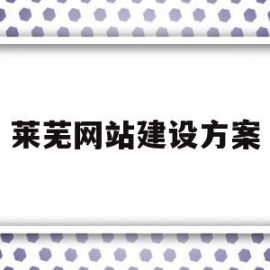 莱芜网站建设方案(济南网站建设方案书)