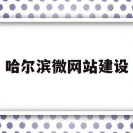 哈尔滨微网站建设(哈尔滨网站建设过程)