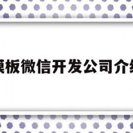 模板微信开发公司介绍(模板微信开发公司介绍怎么写)