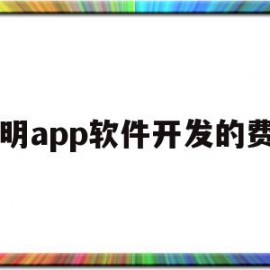 昆明app软件开发的费用(昆明app软件开发的费用高吗)