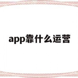 app靠什么运营(app是怎么运营的)