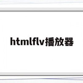 htmlflv播放器(html mp4播放器)