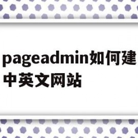 包含pageadmin如何建中英文网站的词条