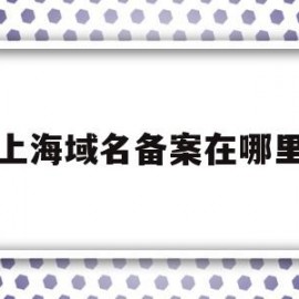 上海域名备案在哪里(上海域名备案需要多少时间)