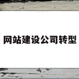 网站建设公司转型(网站建设公司是干嘛的)