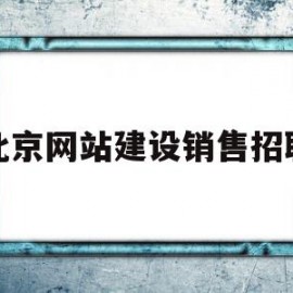 北京网站建设销售招聘(北京网站建设销售招聘网)