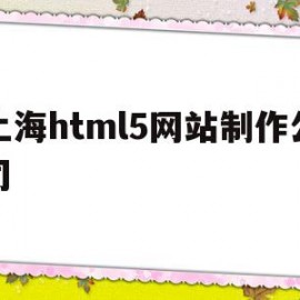 包含上海html5网站制作公司的词条