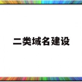 二类域名建设(有域名怎么建设网站)