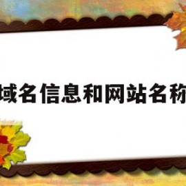 域名信息和网站名称(域名信息和网站名称不一致)