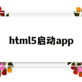 html5启动app(html5启动本地服务)