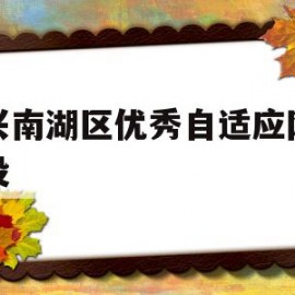 嘉兴南湖区优秀自适应网站建设的简单介绍