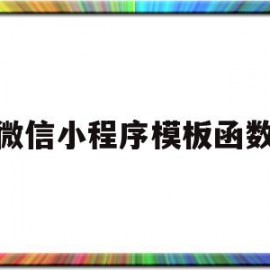 微信小程序模板函数(小程序函数怎么带参数)