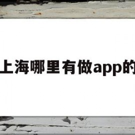 上海哪里有做app的(上海app制作科技公司)