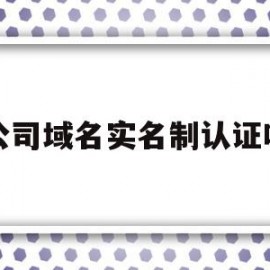 公司域名实名制认证吗(企业域名实名认证证件类型怎么填写)