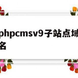 包含phpcmsv9子站点域名的词条