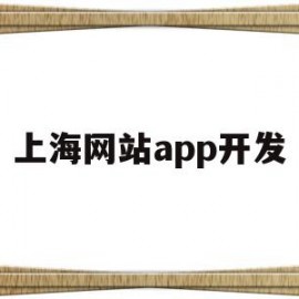 上海网站app开发(上海app开发和制作公司)