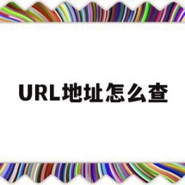 URL地址怎么查(服务器url地址怎么查)