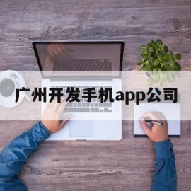 广州开发手机app公司(广州开发手机app公司排名)