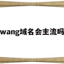 wang域名会主流吗(域名网站什么意思)