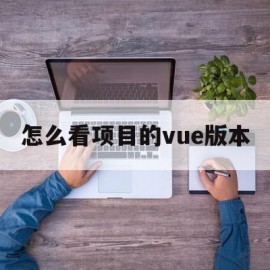 怎么看项目的vue版本(怎么看项目是vue2还是3)