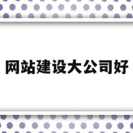 网站建设大公司好(网站建设公司好几天不处理问题 怎么问对方呢?)