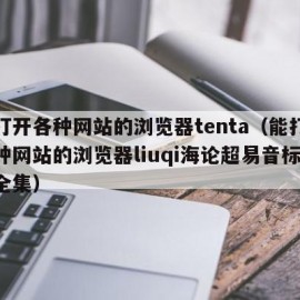 能打开各种网站的浏览器tenta（能打开各种网站的浏览器liuqi海论超易音标入门全集）