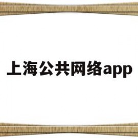 上海公共网络app(上海公共网络怎么连接)