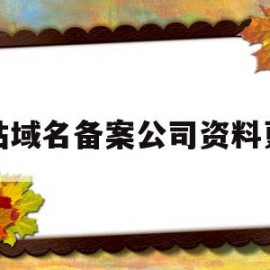 网站域名备案公司资料更换(网站域名备案公司资料更换流程)