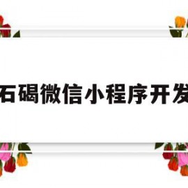 石碣微信小程序开发(石碣微信小程序开发招聘信息)