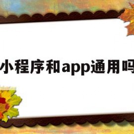 小程序和app通用吗(小程序跟app功能一样吗)