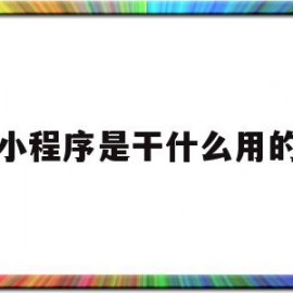 小程序是干什么用的(小程序是干什么的微信里的小程序)