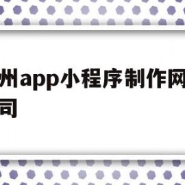 广州app小程序制作网络公司(广州微信小程序开发制作公司)