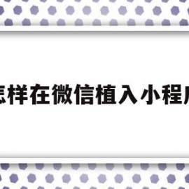 怎样在微信植入小程序(怎样在微信植入小程序链接)