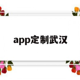 app定制武汉(武汉app定制开发)