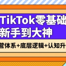 TikTok零基础新手到大神：运营体系+底层逻辑+认知升级（9节系列课）
