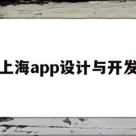 上海app设计与开发(上海APP开发)