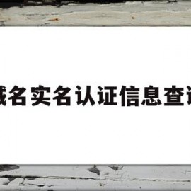 域名实名认证信息查询(域名实名认证信息查询网站)