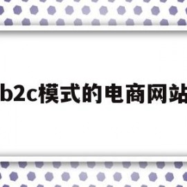 b2c模式的电商网站(b2c模式电子商务网站)