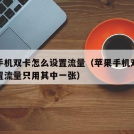 苹果手机双卡怎么设置流量（苹果手机双卡怎么设置流量只用其中一张）