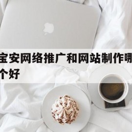 宝安网络推广和网站制作哪个好(宝安网络推广和网站制作哪个好一点)