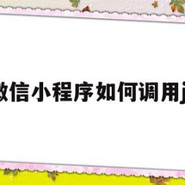 微信小程序如何调用js(微信小程序如何调用云闪付支付)