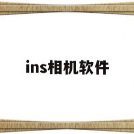 ins相机软件(ins相机软件vivo)