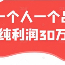 一个人一个品月纯利润30万的蓝海电商经典案例！