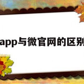 app与微官网的区别(微官网和小程序有什么区别)