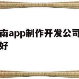 云南app制作开发公司哪家好(云南app制作开发公司哪家好点)