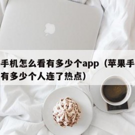 苹果手机怎么看有多少个app（苹果手机怎么看有多少个人连了热点）