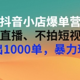 抖音小店爆单营：不直播、不拍短视频、日出1000单，暴力玩法（价值2980元）